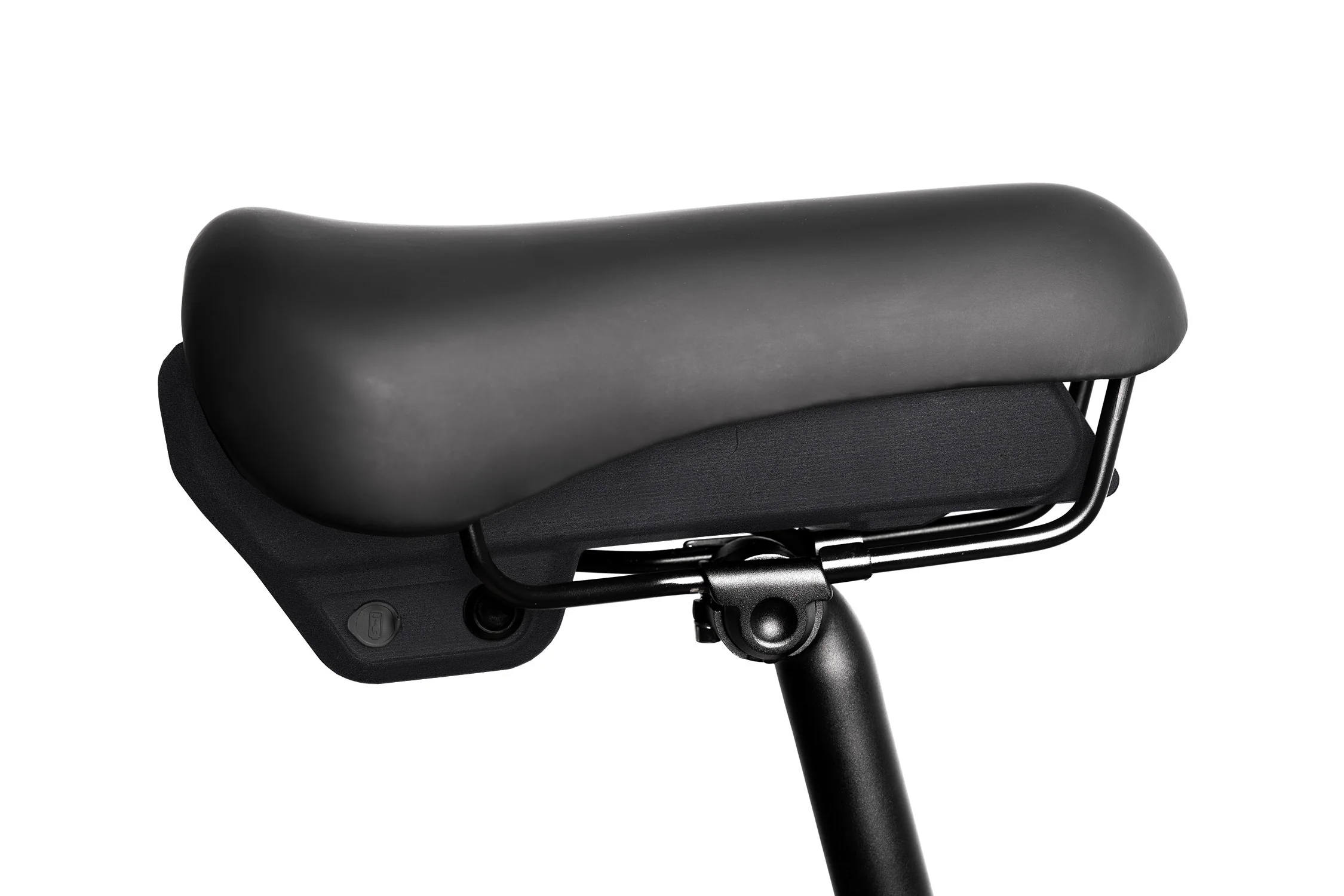 Project BMX (2024) - Image 12